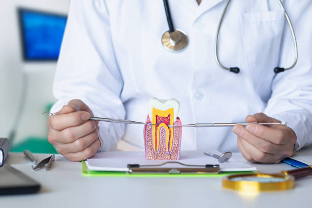 Best Tooth Pain Emergency Relief  in Rossville, TN